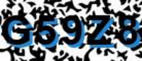 grafischer Sicherheitscode