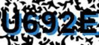grafischer Sicherheitscode